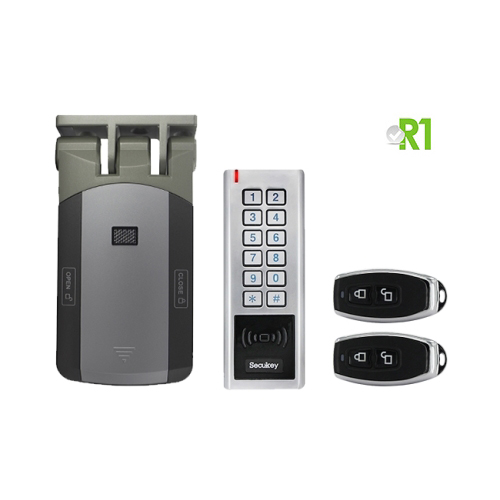 RD3: RFID e codice PIN, Wireless, Ip66 a batteria.