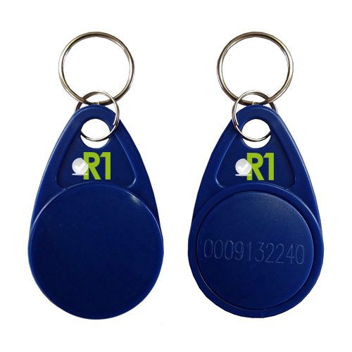 RFTG: N.100 key fobs RFID € 0,24 cad.